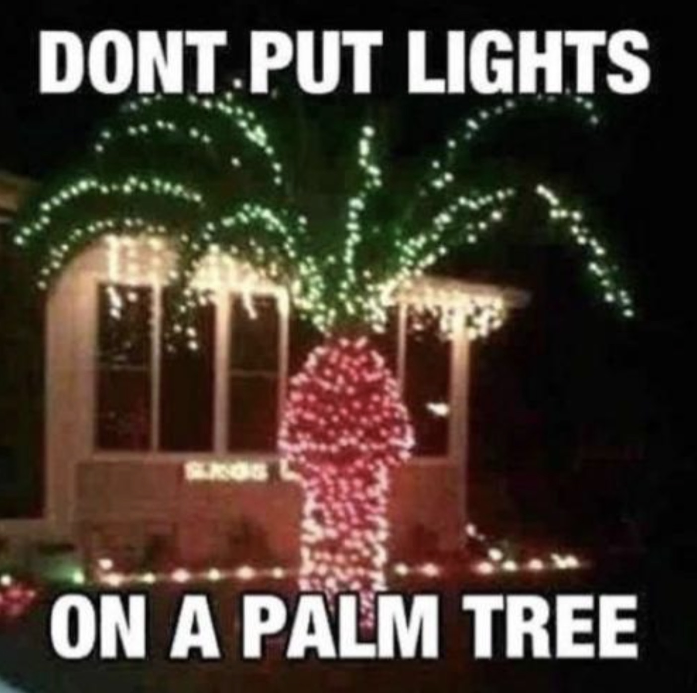 bad christmas decorations - Dont Put Lights Slags On A Palm Tree